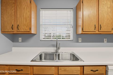 Tiny photo for 142 Woodlawn Pike, Knoxville, TN 37920 (MLS # 1325962)