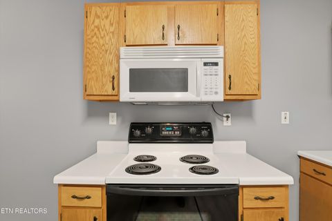 Tiny photo for 142 Woodlawn Pike, Knoxville, TN 37920 (MLS # 1325962)