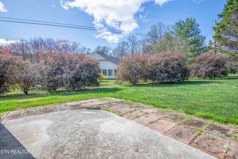 Tiny photo for 118 Channel Way, Clinton, TN 37716 (MLS # 1332559)