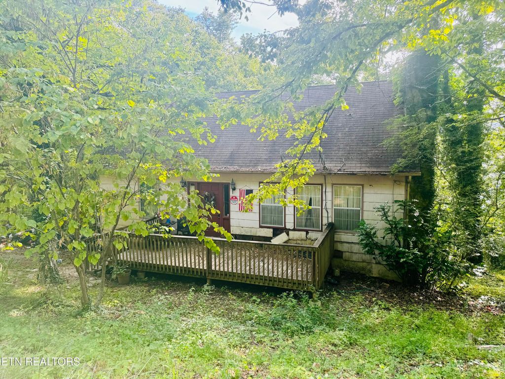 Photo of 738 CAPE NORRIS Rd, New Tazewell, TN 37825 (MLS # 1272915)