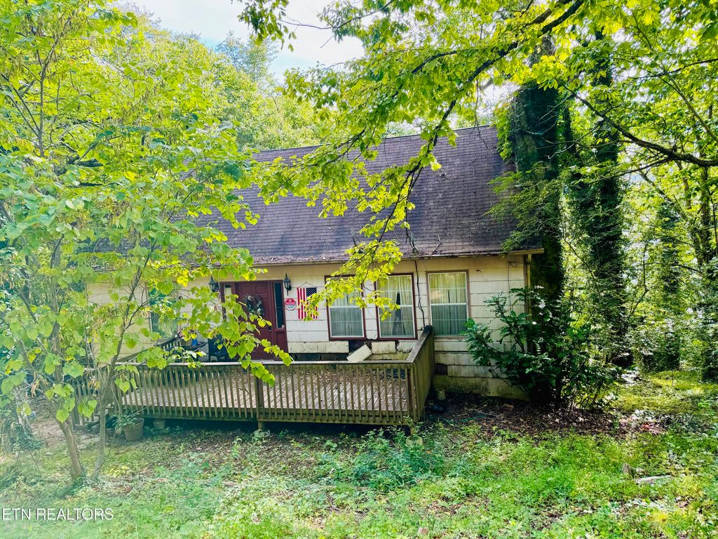 Photo of 738 CAPE NORRIS Rd, New Tazewell, TN 37825 (MLS # 1272915)
