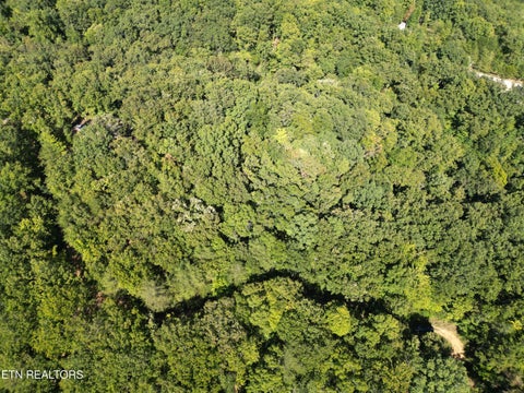 Photo of Lake overlook Drive, Rockwood, TN 37854 (MLS # 1357445)
