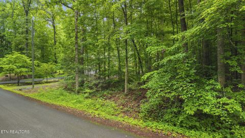 Photo of Peach Tree St, Sevierville, TN 37862 (MLS # 1342638)