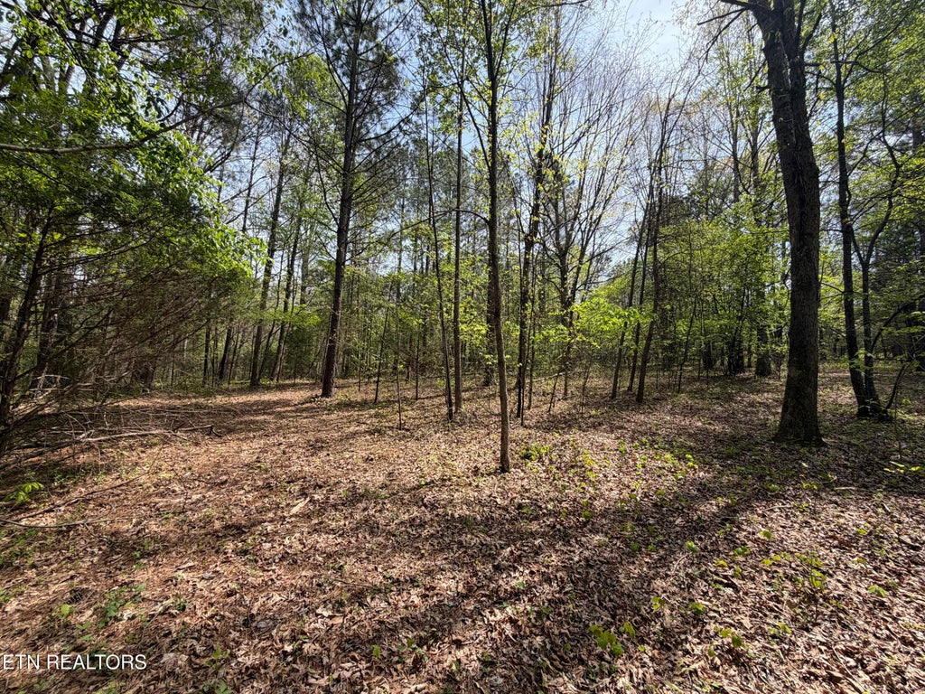 Photo of 7836 Dry Valley Rd, Loudon, TN 37774 (MLS # 1352252)