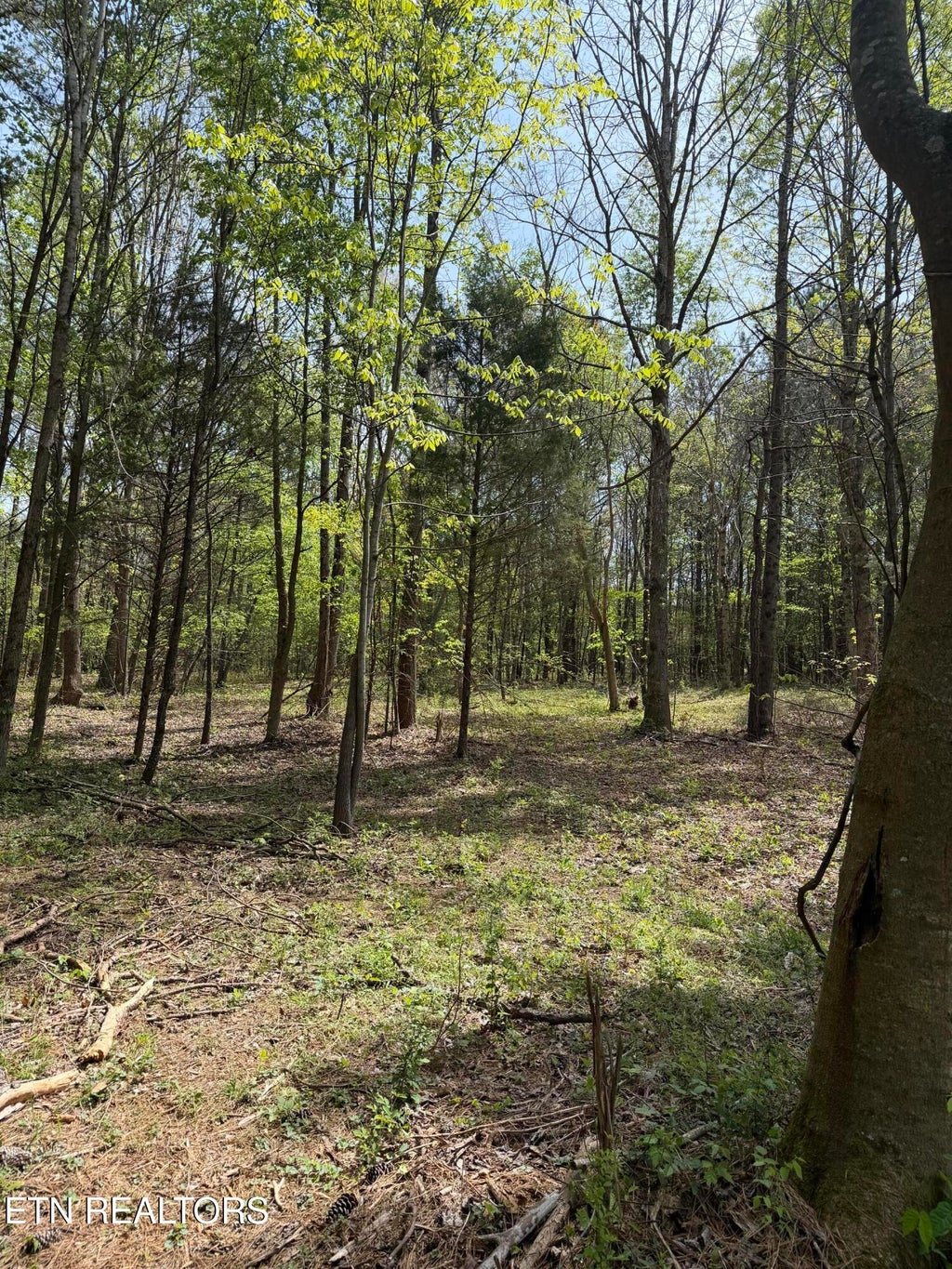 Photo of 7836 Dry Valley Rd, Loudon, TN 37774 (MLS # 1352252)