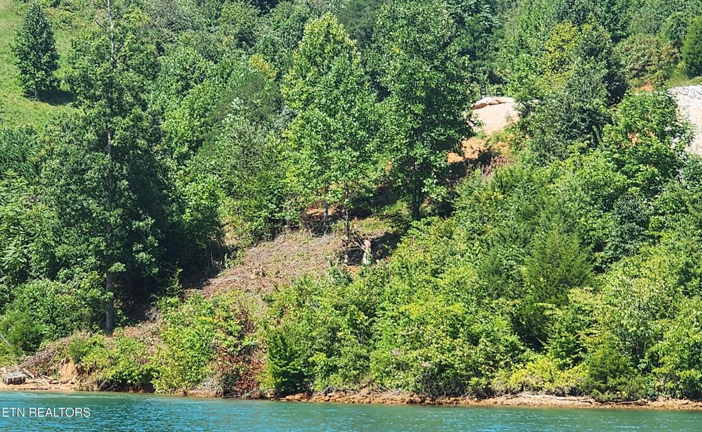 Photo of Lot 19 Cameron Loop, LaFollette, TN 37766 (MLS # 1311949)