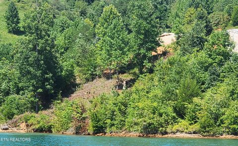 Lot 19 Cameron Loop LaFollette TN 37766
