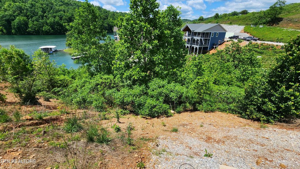 Photo of Lot 19 Cameron Loop, LaFollette, TN 37766 (MLS # 1311949)