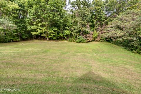 Tiny photo for 949 Hill St, Jellico, TN 37762 (MLS # 1340695)