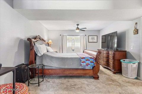 Tiny photo for 119 County Road 887, Etowah, TN 37331 (MLS # 1347100)