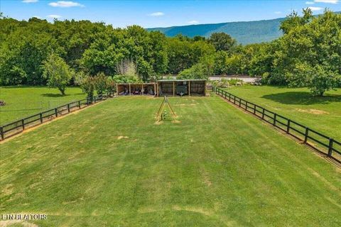 Tiny photo for 119 County Road 887, Etowah, TN 37331 (MLS # 1347100)