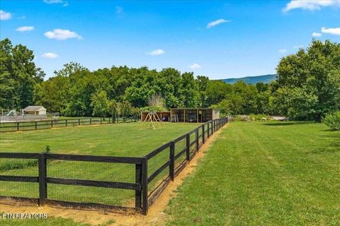 Tiny photo for 119 County Road 887, Etowah, TN 37331 (MLS # 1347100)