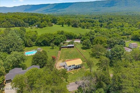 Tiny photo for 119 County Road 887, Etowah, TN 37331 (MLS # 1347100)