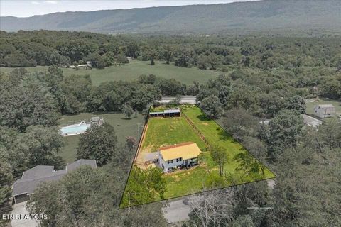 Tiny photo for 119 County Road 887, Etowah, TN 37331 (MLS # 1347100)