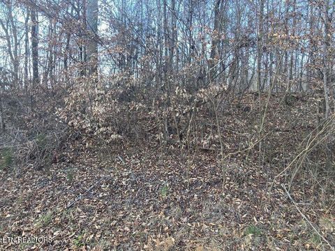 Tiny photo for 15 River Rd, Decatur, TN 37322 (MLS # 1330780)