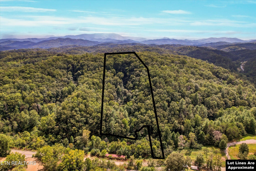 Photo of 1316 River Divide Rd, Sevierville, TN 37862 (MLS # 1355325)