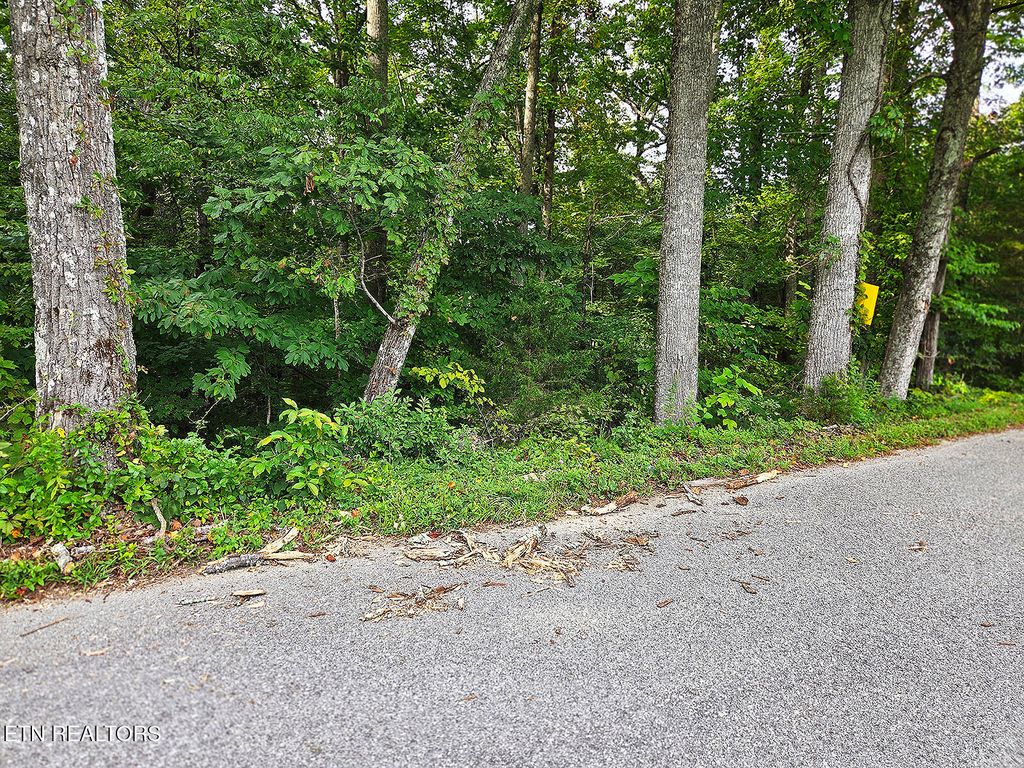 Photo of 0 Victory Cross Rd, LaFollette, TN 37766 (MLS # 1336562)