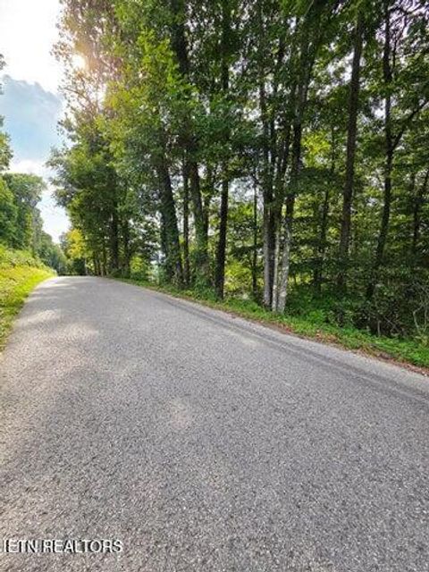 Photo of 0 Victory Cross Rd, LaFollette, TN 37766 (MLS # 1336562)