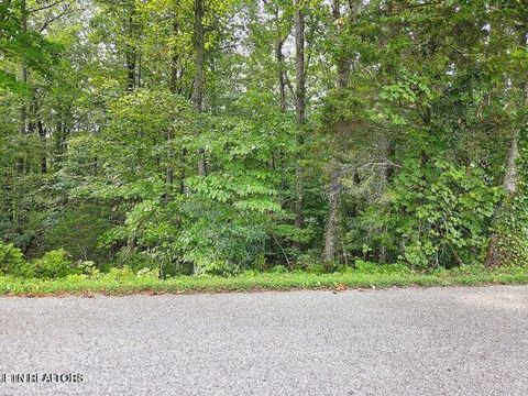Tiny photo for 0 Victory Cross Rd, LaFollette, TN 37766 (MLS # 1336562)
