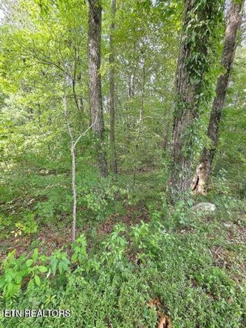 Tiny photo for 0 Victory Cross Rd, LaFollette, TN 37766 (MLS # 1336562)