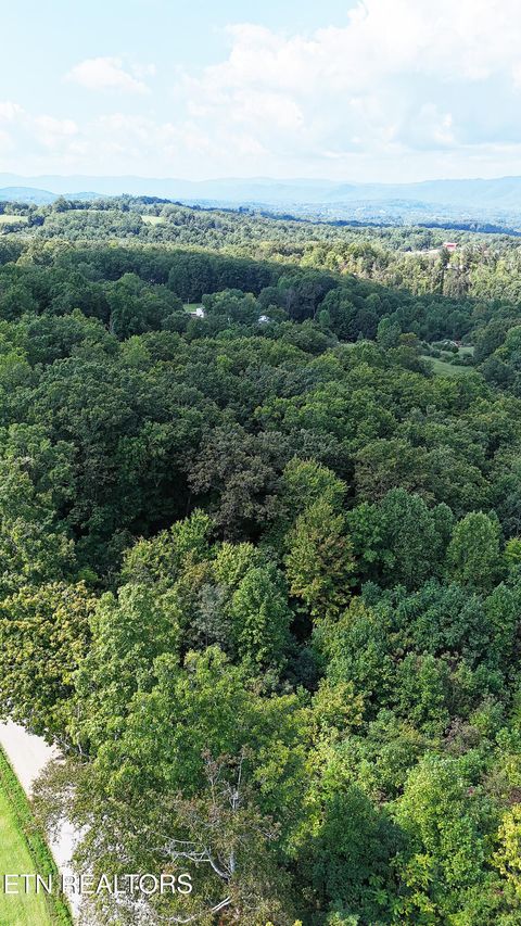 Tiny photo for 0 Victory Cross Rd, LaFollette, TN 37766 (MLS # 1336562)