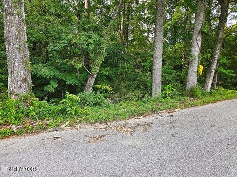 Tiny photo for 0 Victory Cross Rd, LaFollette, TN 37766 (MLS # 1336562)