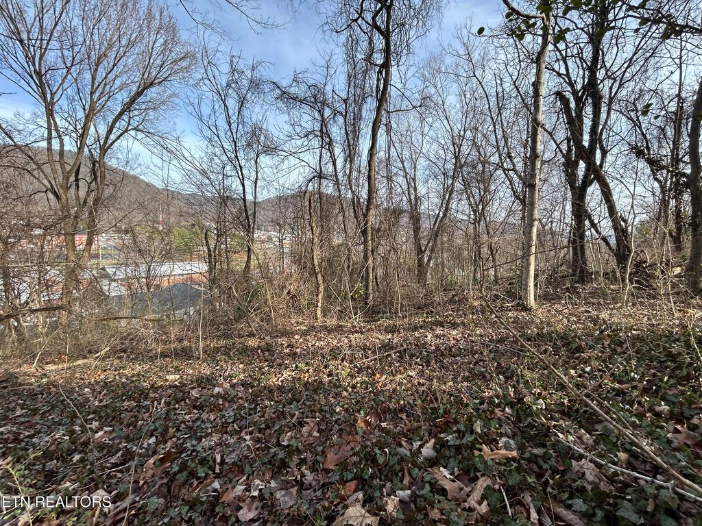 Photo of W Chestnut St, LaFollette, TN 37766 (MLS # 1330082)