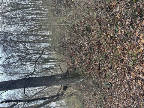 Tiny photo for W Chestnut St, LaFollette, TN 37766 (MLS # 1330082)