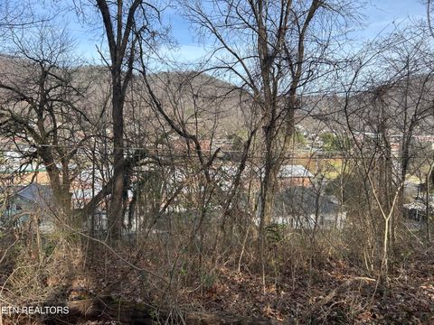 Tiny photo for W Chestnut St, LaFollette, TN 37766 (MLS # 1330082)
