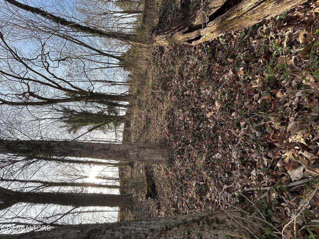 Photo of W Chestnut St, LaFollette, TN 37766 (MLS # 1330082)