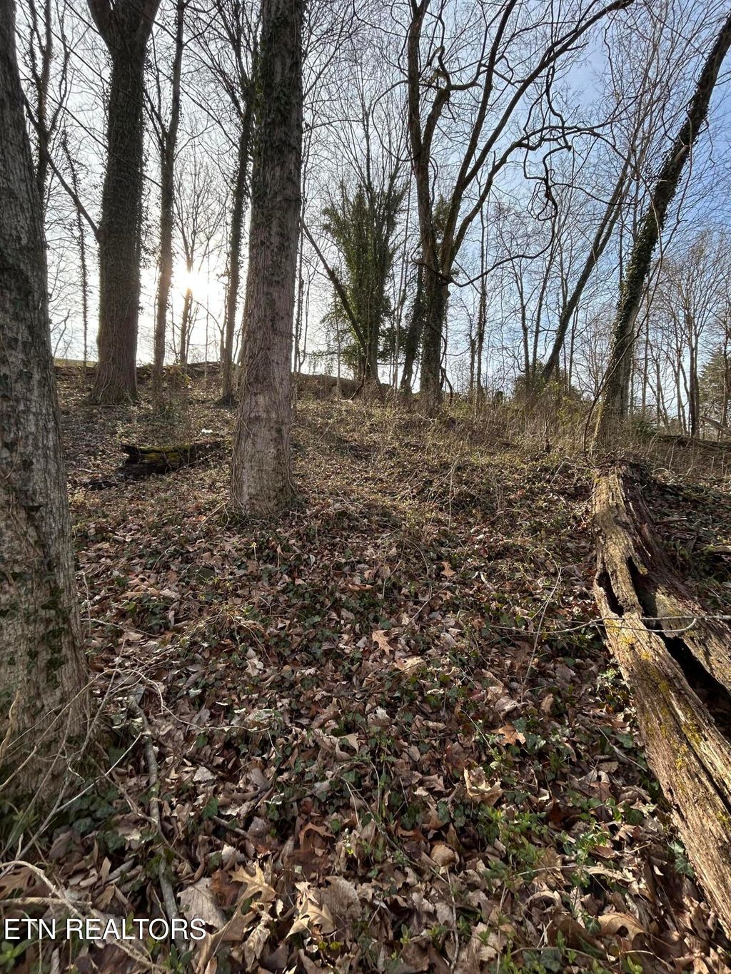 Photo of W Chestnut St, LaFollette, TN 37766 (MLS # 1330082)