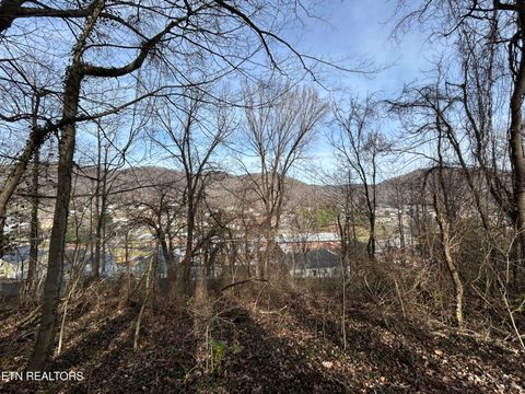 Tiny photo for W Chestnut St, LaFollette, TN 37766 (MLS # 1330082)