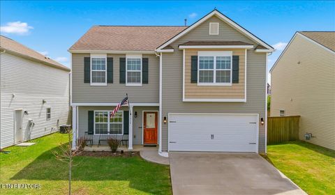 Photo of 1314 Bill Wallace Drive, Friendsville, TN 37737 (MLS # 1335732)