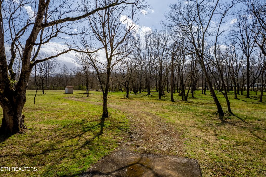 Photo of 248 Cameron Rd, Townsend, TN 37882 (MLS # 1293607)