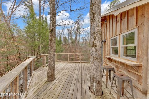 Tiny photo for 1233 Secona Way, Sevierville, TN 37876 (MLS # 1332777)