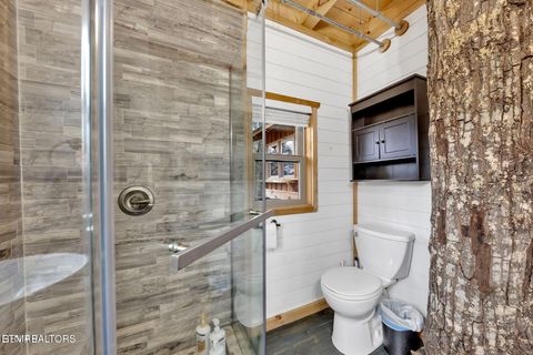 Tiny photo for 1233 Secona Way, Sevierville, TN 37876 (MLS # 1332777)