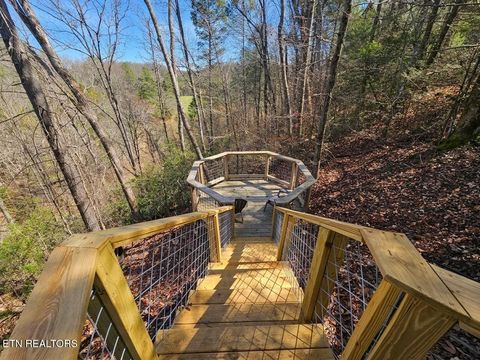 Tiny photo for 1233 Secona Way, Sevierville, TN 37876 (MLS # 1332777)