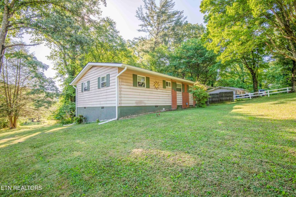 Photo of 136 Mimosa Ave, Rockwood, TN 37854 (MLS # 1341484)