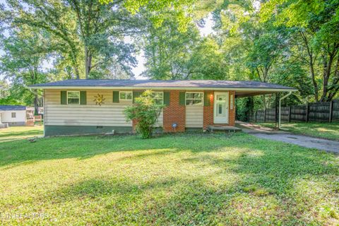 Photo of 136 Mimosa Ave, Rockwood, TN 37854 (MLS # 1341484)
