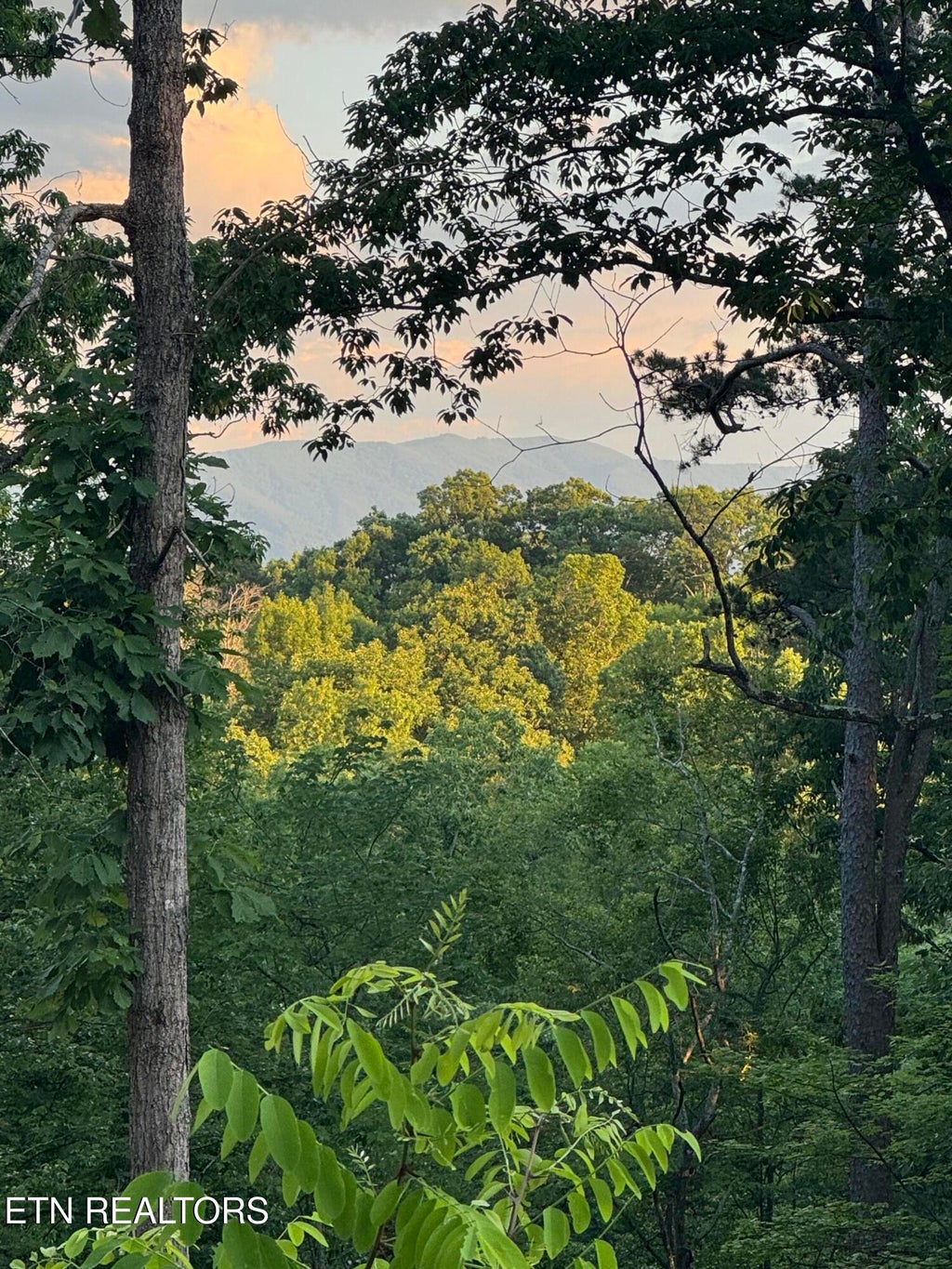 Photo of Iron Gate Drive, Baneberry, TN 37890 (MLS # 1354598)
