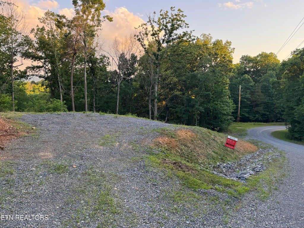 Photo of Iron Gate Drive, Baneberry, TN 37890 (MLS # 1354598)
