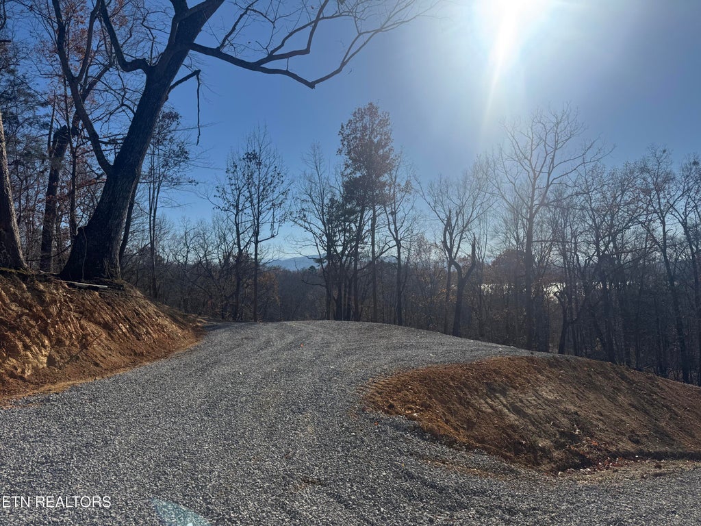 Photo of Iron Gate Drive, Baneberry, TN 37890 (MLS # 1354598)