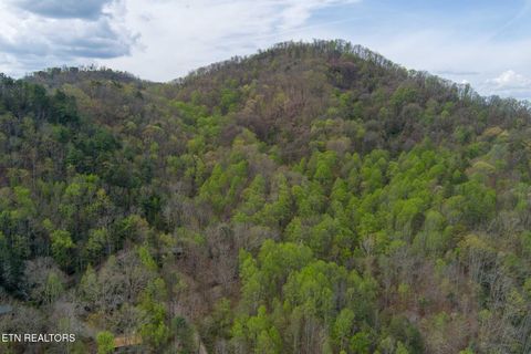 Tiny photo for Anderson Way, Sevierville, TN 37876 (MLS # 1336232)