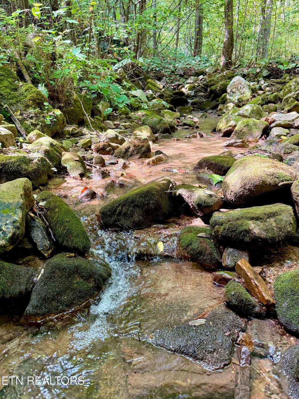 Photo of 154 Summit Trails Drive, Sevierville, TN 37862 (MLS # 1316243)