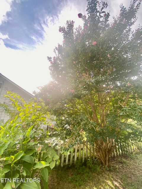 Tiny photo for 1825 Newman Town Rd, Pigeon Forge, TN 37862 (MLS # 1331184)