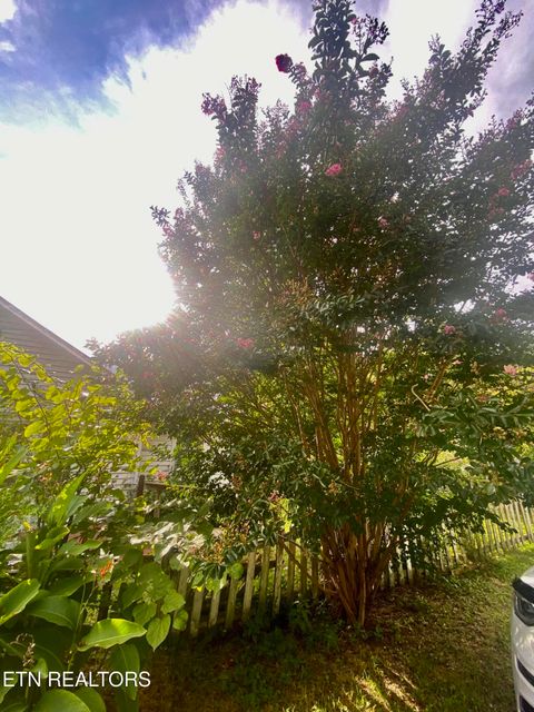 Tiny photo for 1825 Newman Town Rd, Pigeon Forge, TN 37862 (MLS # 1331184)