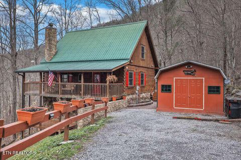 Photo of 2980 Kulpan Way, Pigeon Forge, TN 37862 (MLS # 1342416)