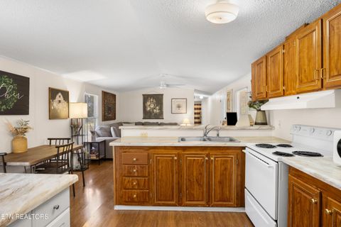 Tiny photo for 382 2nd Street St, Corryton, TN 37721 (MLS # 1322319)