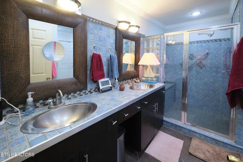 Tiny photo for 817 Lakewood Drive, Jefferson City, TN 37760 (MLS # 1343128)