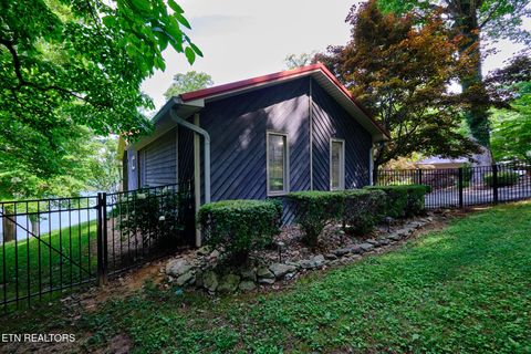 Tiny photo for 817 Lakewood Drive, Jefferson City, TN 37760 (MLS # 1343128)